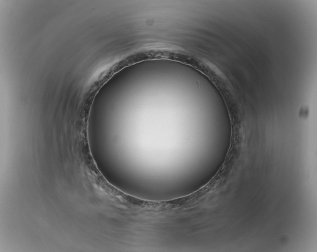 X0000113090775200909111026
