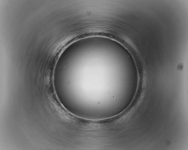 X0000113090777200909111026