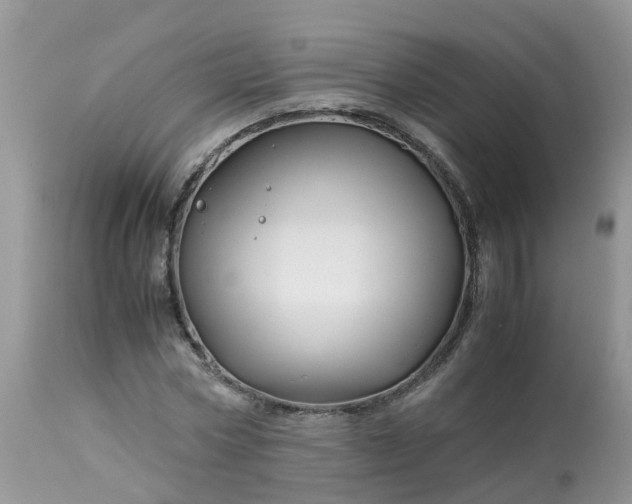 X0000113090778200909111026