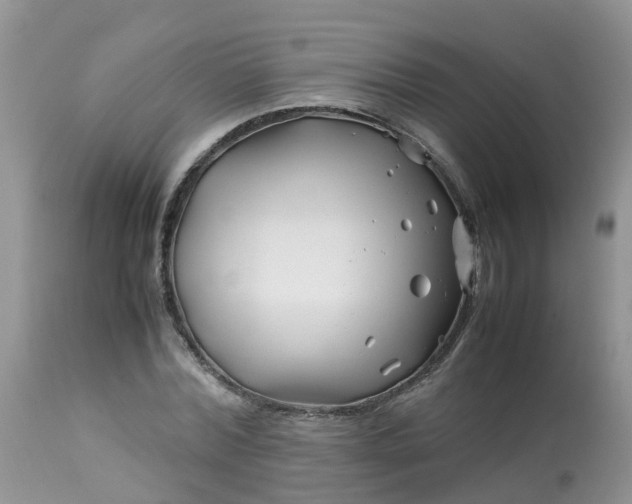X0000113090780200909111026
