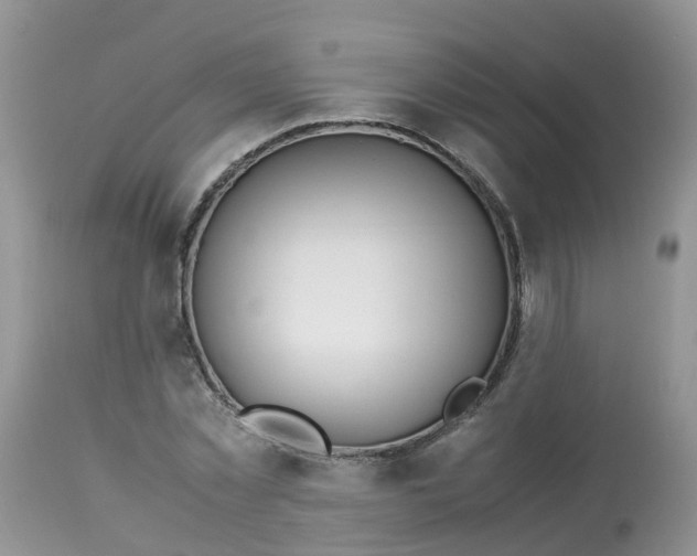 X0000113090781200909111026