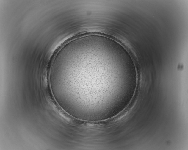 X0000113090782200909111026