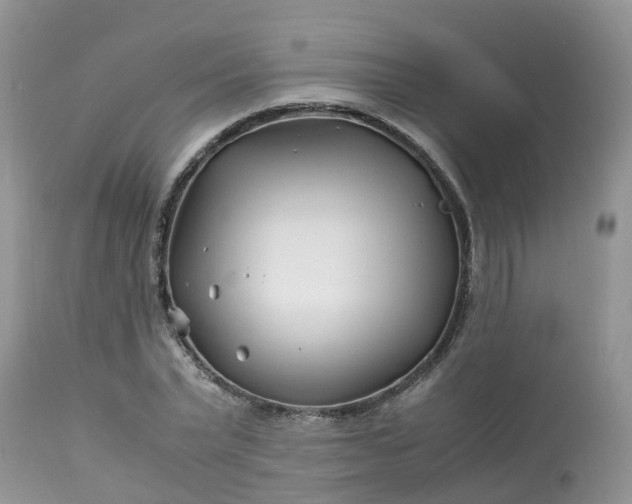 X0000113090783200909111026