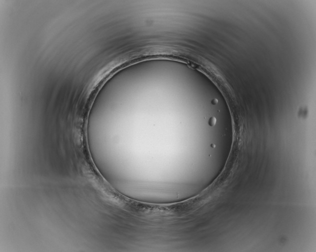 X0000113090786200909111026