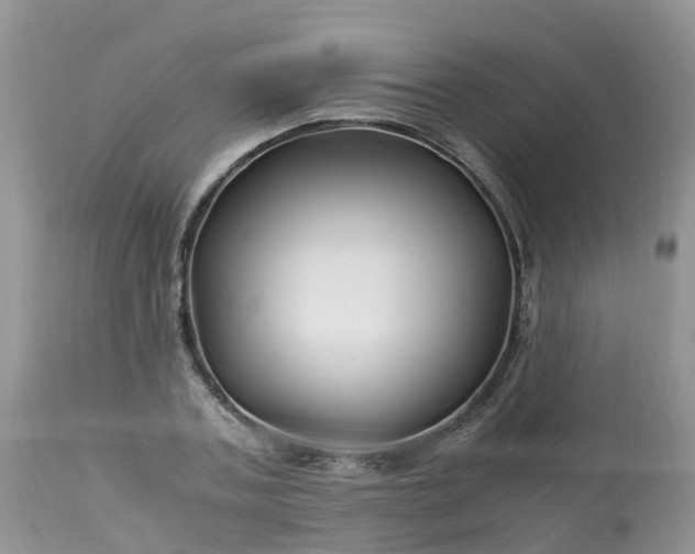 X0000113090787200909111026