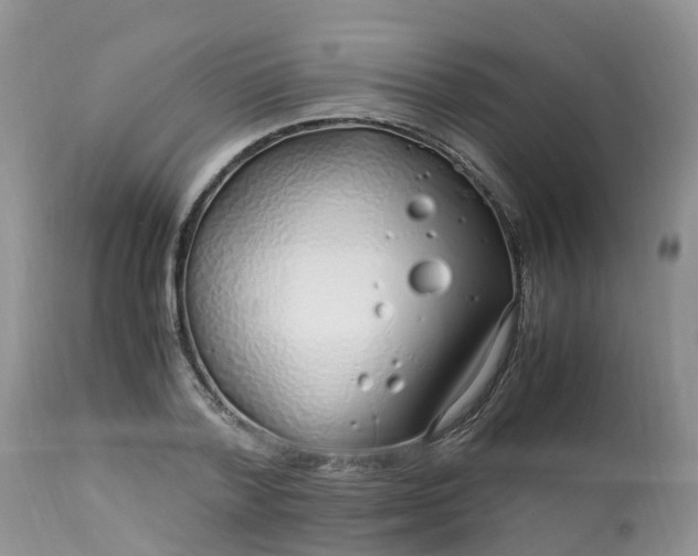 X0000113090788200909111026