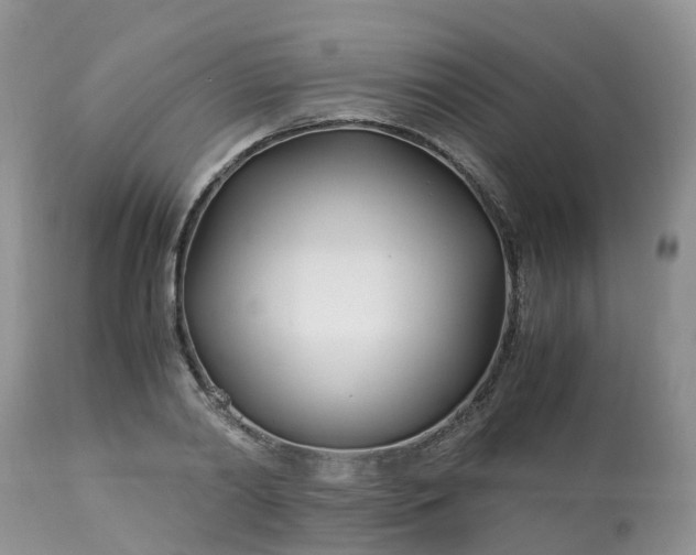 X0000113090790200909111026