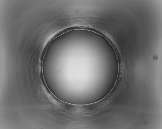 X0000113090791200909111026