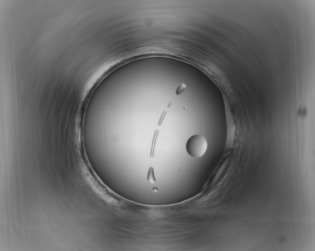 X0000113090796200909111026