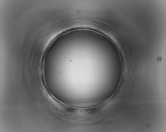 X0000113090799200909111026
