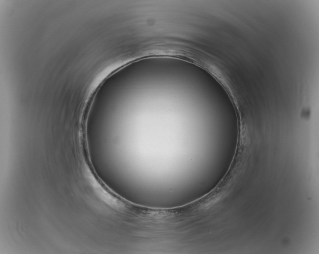 X0000113090803200909111026