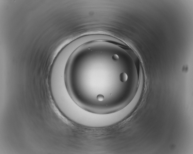 X0000113090805200909111026