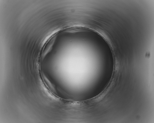 X0000113090806200909111026