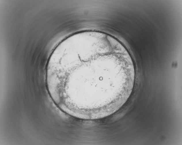 X0000113090807200909111026