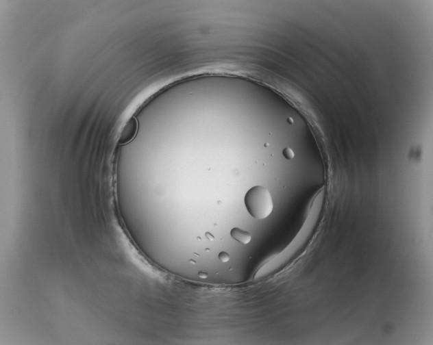 X0000113090808200909111026