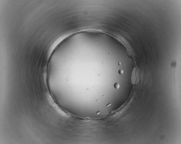 X0000113090812200909111025