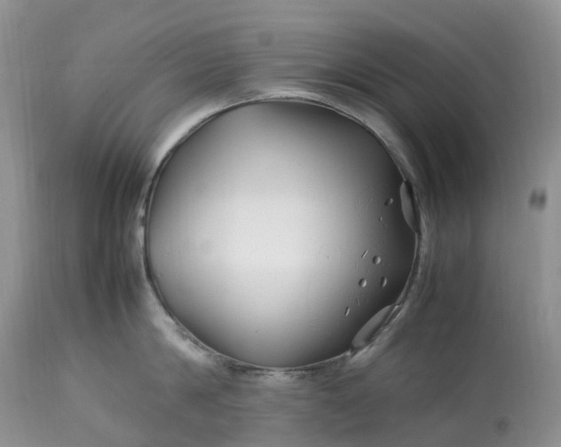 X0000113090814200909111025