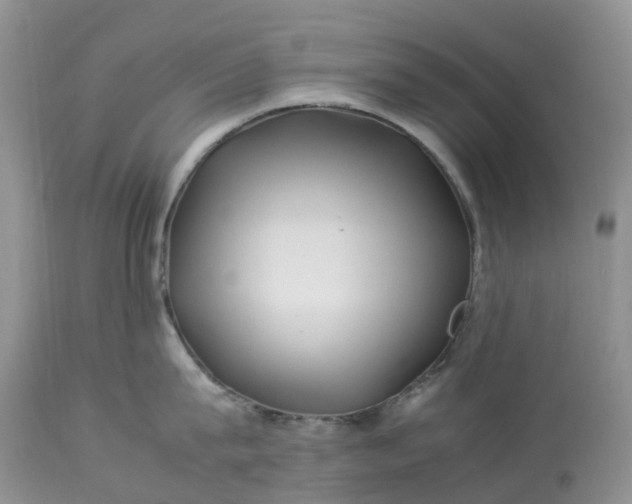 X0000113090815200909111025