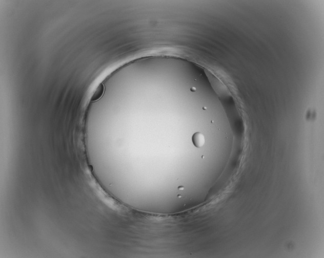 X0000113090816200909111025