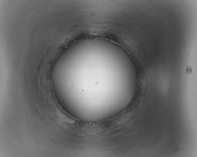 X0000113090817200909111025