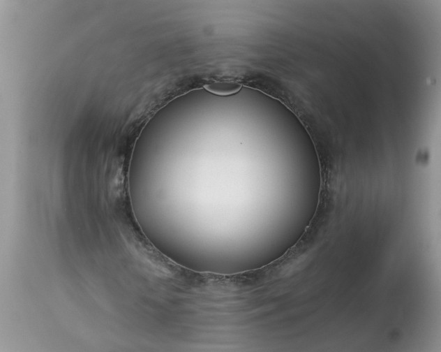 X0000113090818200909111025