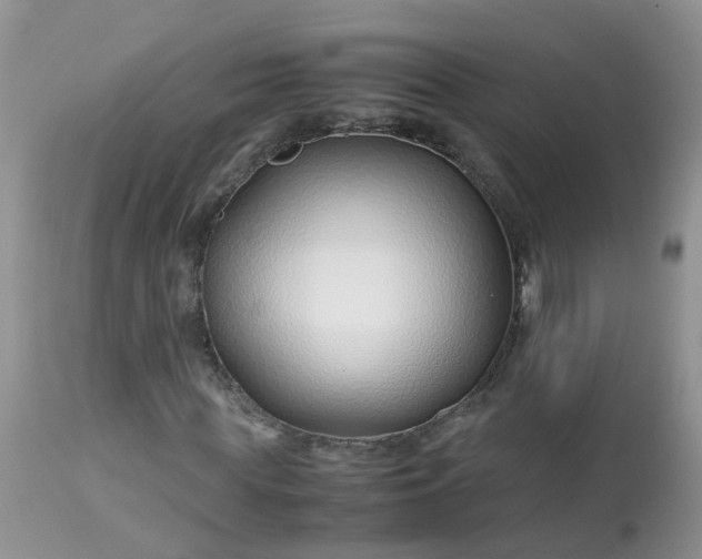 X0000113090819200909111025
