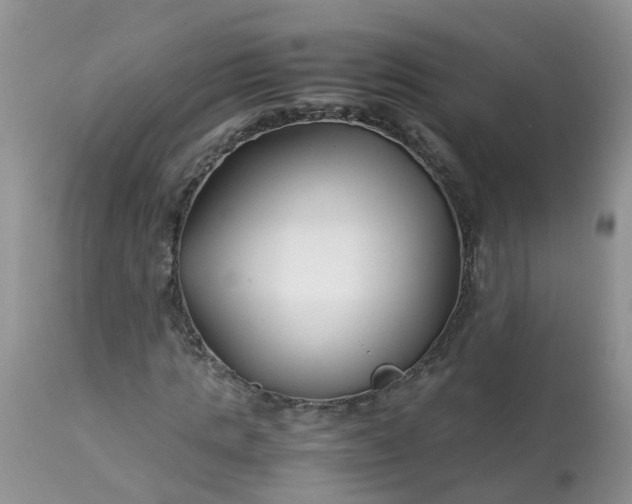 X0000113090821200909111025
