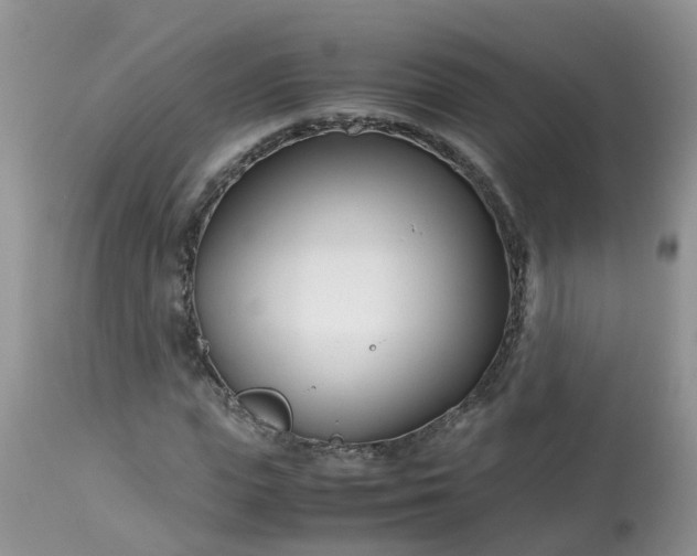 X0000113090823200909111025