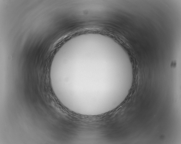 X0000113090824200909111025
