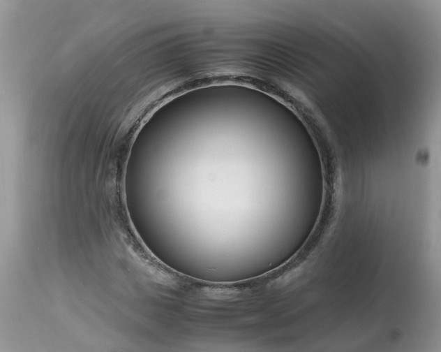 X0000113090825200909111025