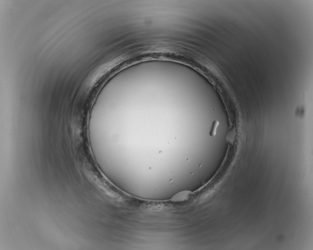 X0000113090826200909111025