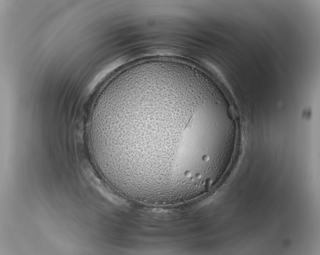 X0000113090827200909111025