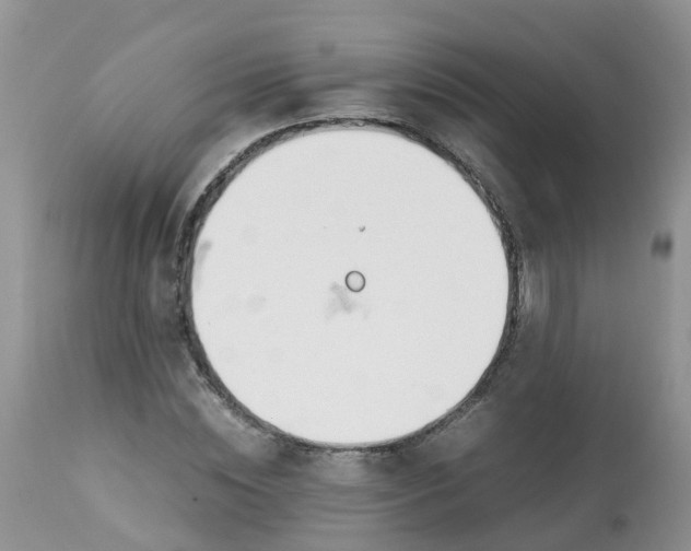 X0000113090828200909111025
