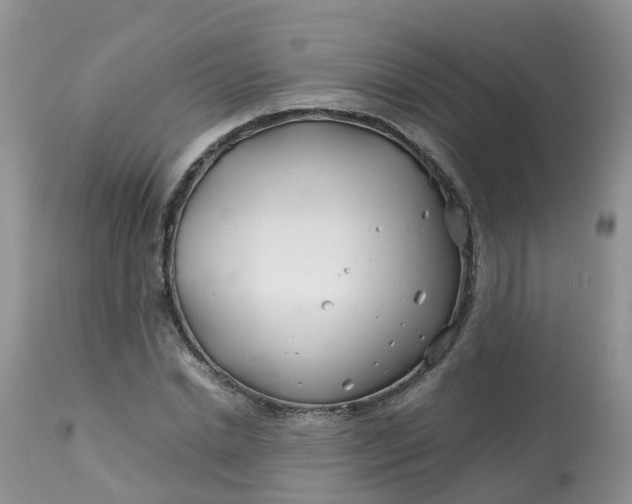 X0000113090830200909111025