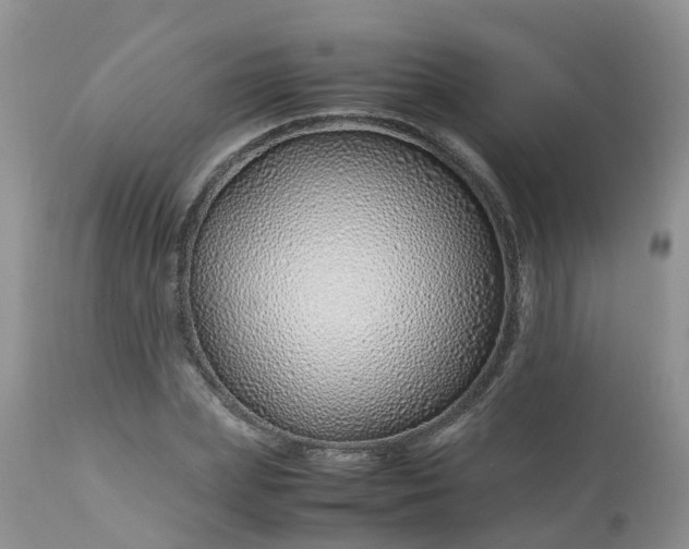 X0000113090831200909111025
