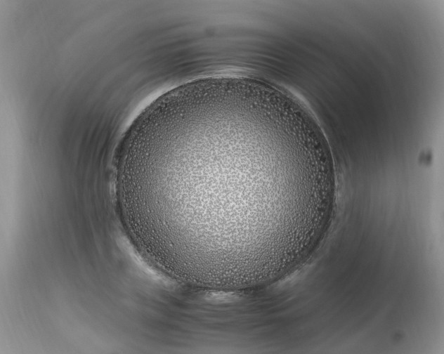 X0000113090835200909111025