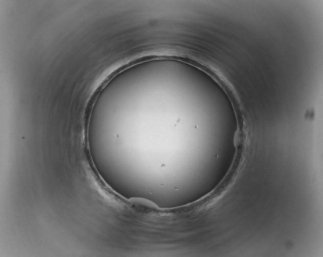 X0000113090837200909111025