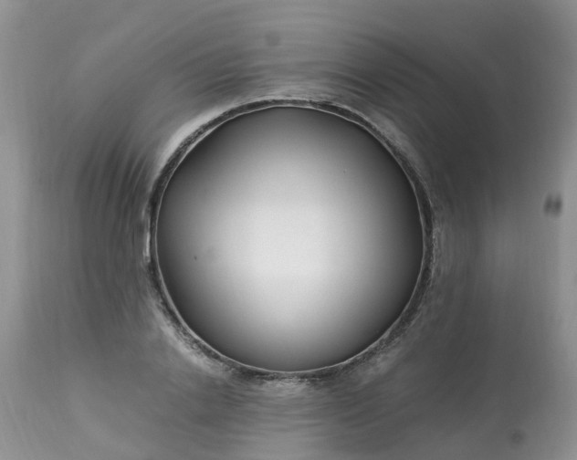 X0000113090838200909111025