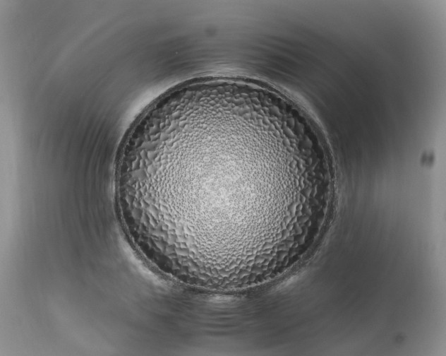 X0000113090839200909111025