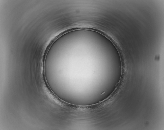 X0000113090840200909111025