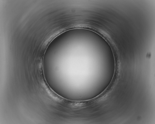 X0000113090841200909111025
