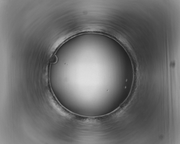 X0000113090842200909111025