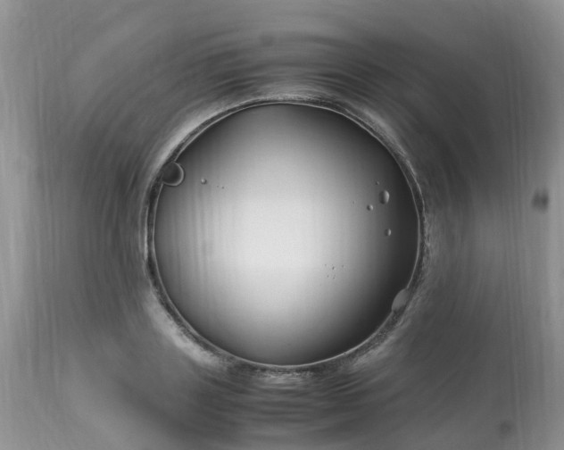 X0000113090843200909111025