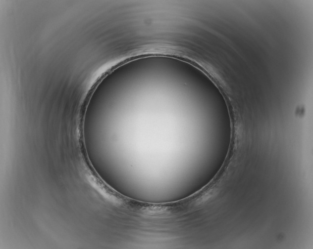 X0000113090846200909111025