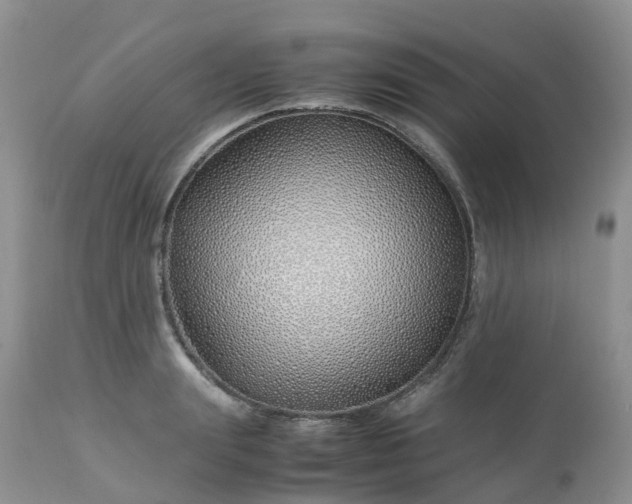 X0000113090847200909111025