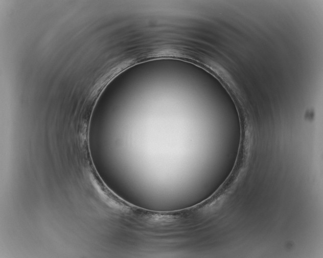 X0000113090849200909111025