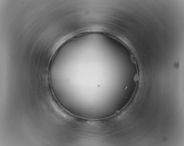 X0000113090850200909111025