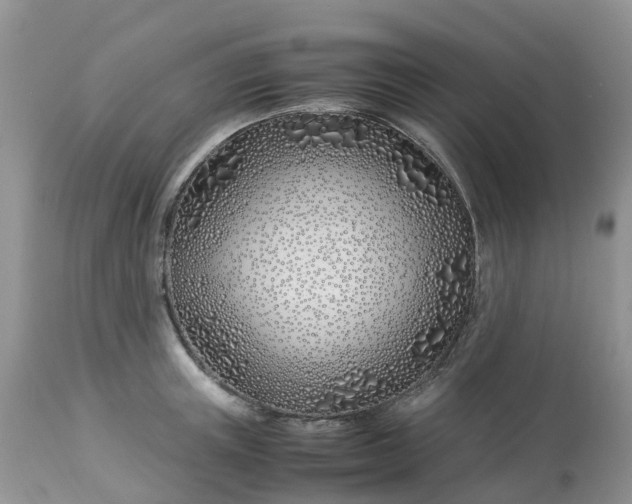 X0000113090851200909111025