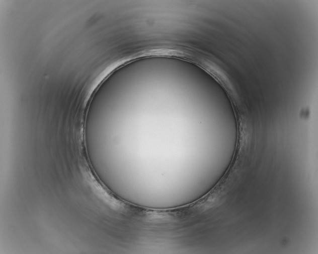 X0000113090852200909111025