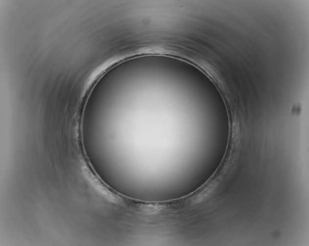 X0000113090854200909111025
